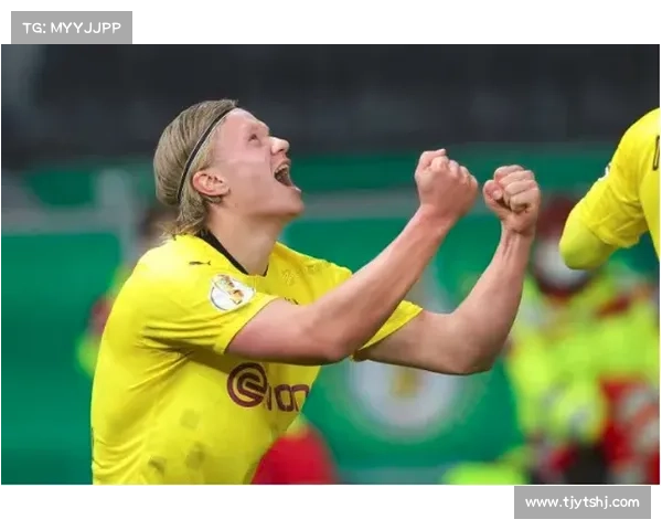 哈里凯恩如何凭借全面技术与职业素养成为世界顶级前锋